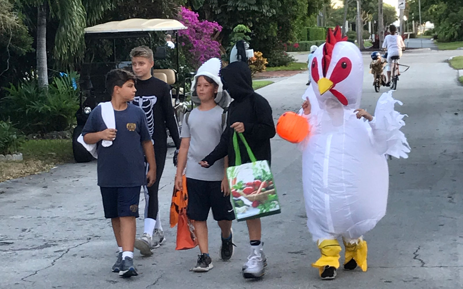 Harbour Inlet Spooks Enjoy Halloween Party